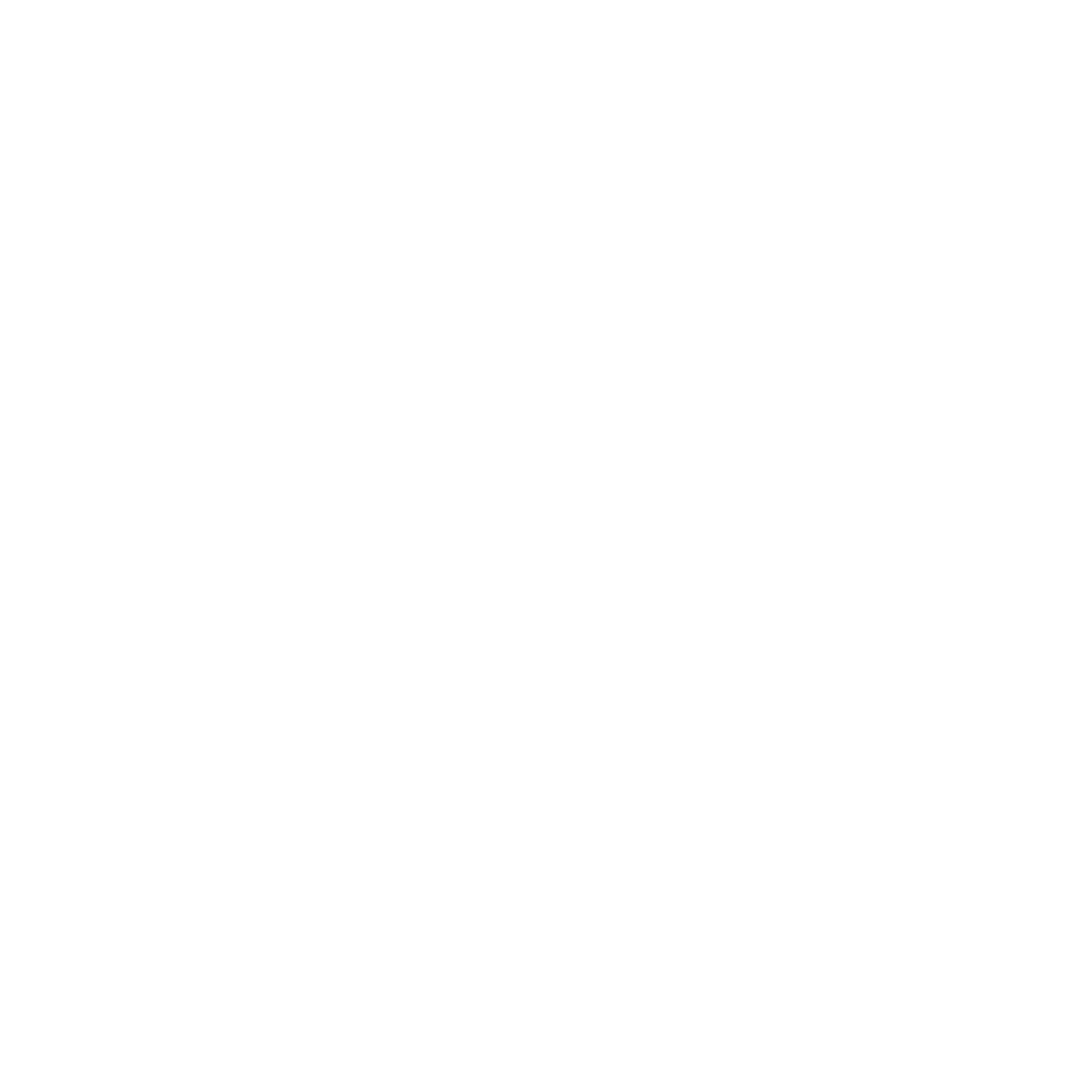 jordan logo white png