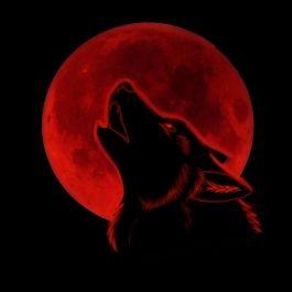 Red and Black Wolf Logo - Black Wolves