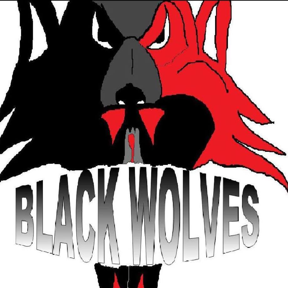 Red and Black Wolf Logo - Baltimore Black Wolves