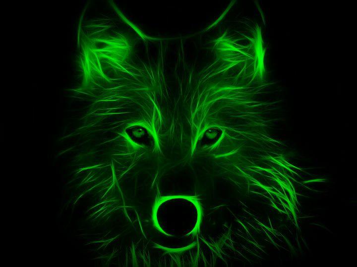 Neon Wolf Logo - Neon Wolf Wallpaper