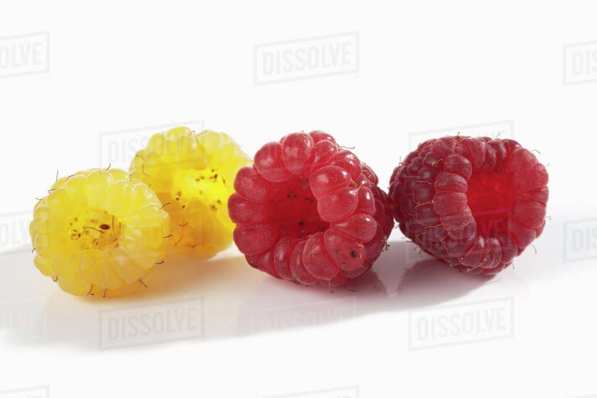 Two Red and Yellow P Logo - Two yellow and two red raspberries (Rubus idaeus), studio shot ...