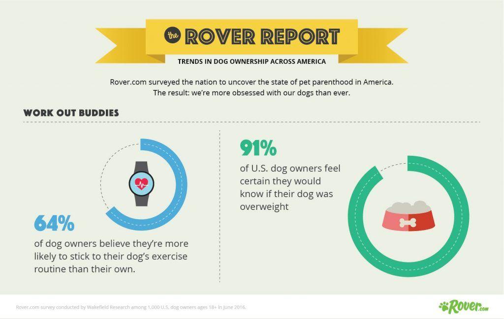 Rover.com Logo - Rover Trends Report Reveals the State of Dog Ownership in America