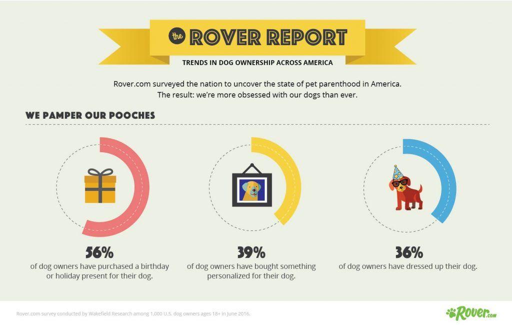 Rover.com Logo - Rover Trends Report Reveals the State of Dog Ownership in America ...