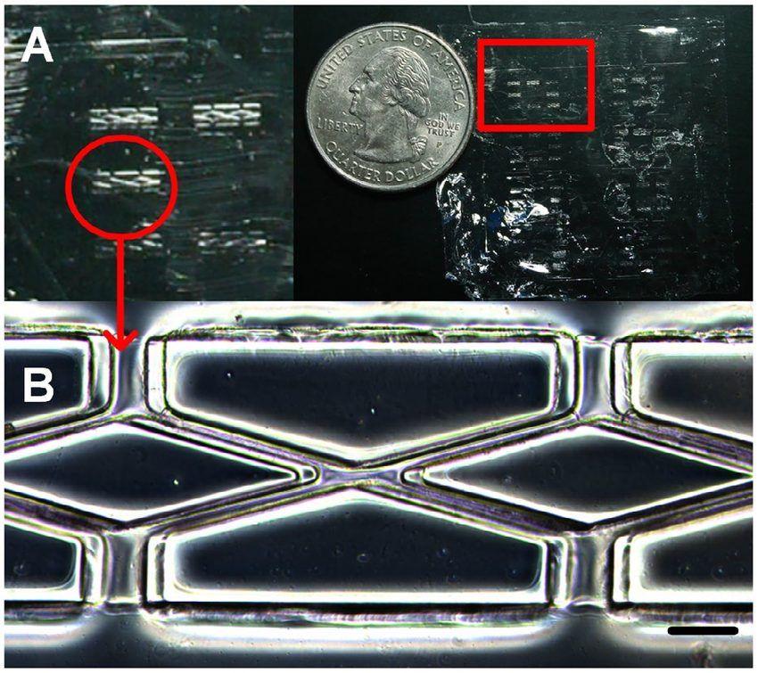 Double Rhombus Logo - Plga scaffold. (a) entire Plga film with eight individual hexagons