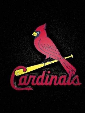Black and Red Cardinals Logo - St Louis Cardinals Black Wallpaper
