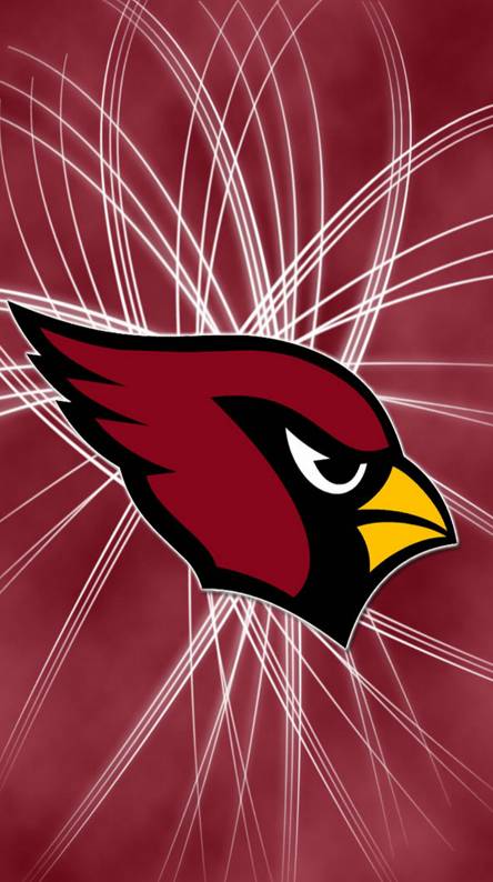 Black and Red Cardinals Logo - Arizona cardinals Wallpapers - Free by ZEDGE™