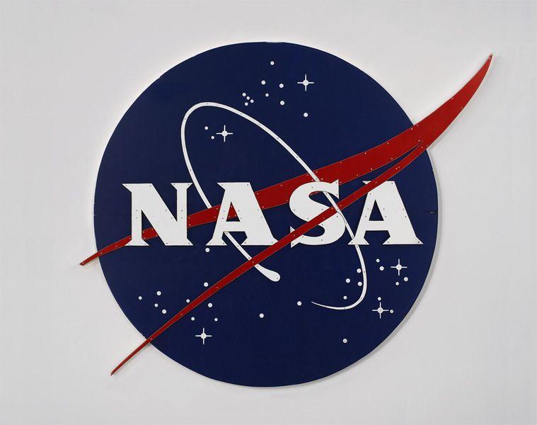 NASA Meatball Logo - Tom Sachs: Work / Nasa Meatball Logo, Color