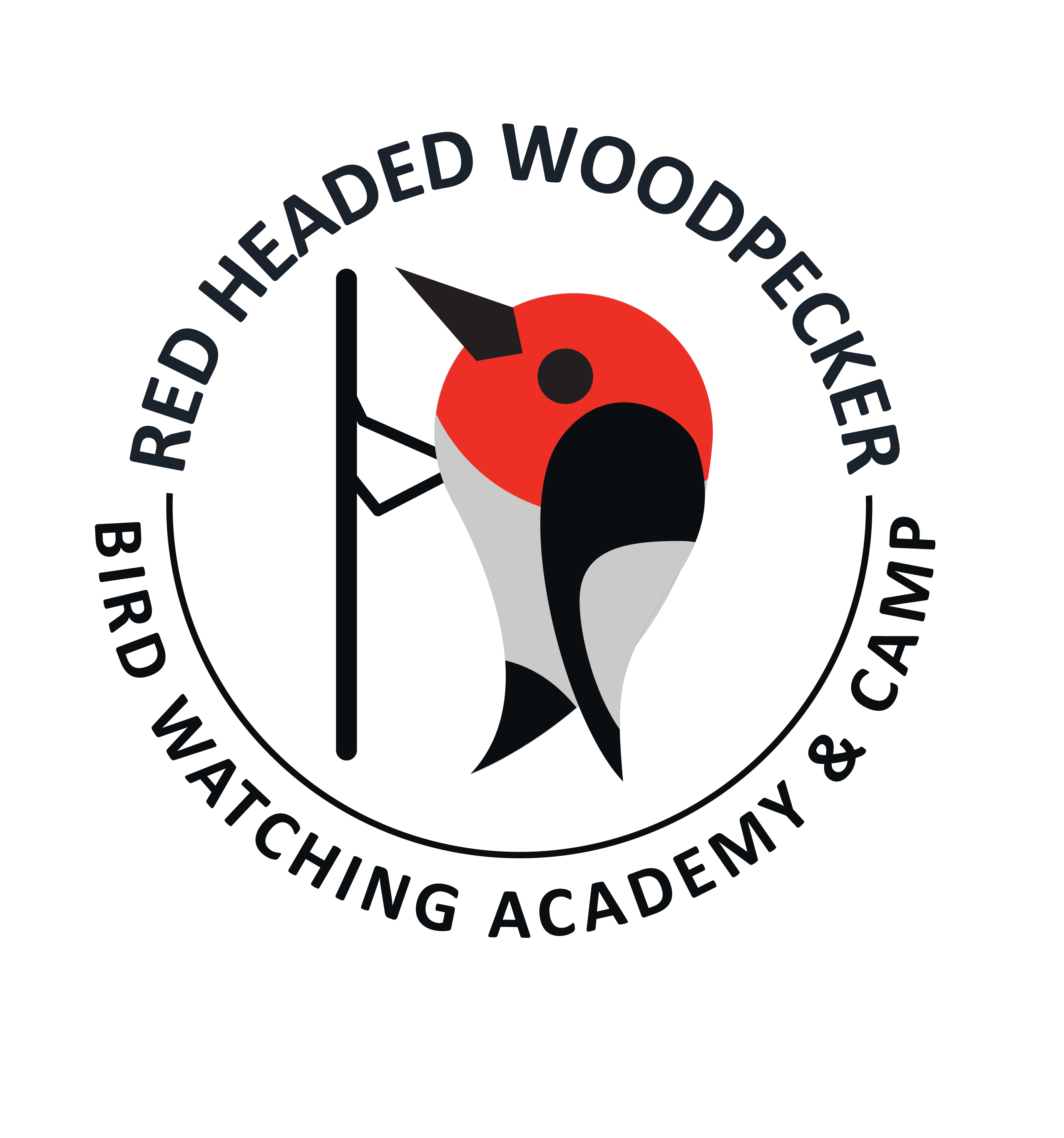 Red Head Bird Logo - Red Headed Woodpecker - Bird Watching Academy
