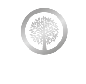 Silver Tree Logo - Silvertree Windows & Doors