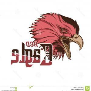 Red Head Bird Logo - Eagle Hawk Bird Logo Template Vector Art Svncvigjfnqfrcq | ARENAWP