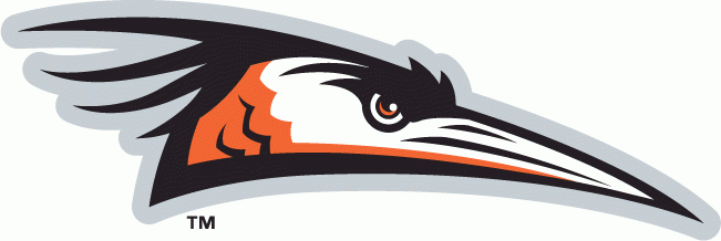 Bird Sports Logo - Delmarva Shorebirds Primary Logo Atlantic League SAL