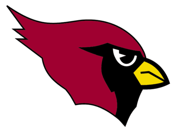 Bird Sports Logo - 33 Best NFL Logos of All Time