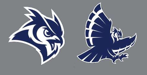 Bird Sports Logo - College Football Uniforms Season Logos