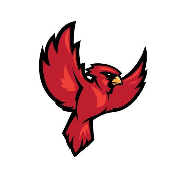 Bird Sports Logo - Southeastern Homeschool Sports Logo Design Package