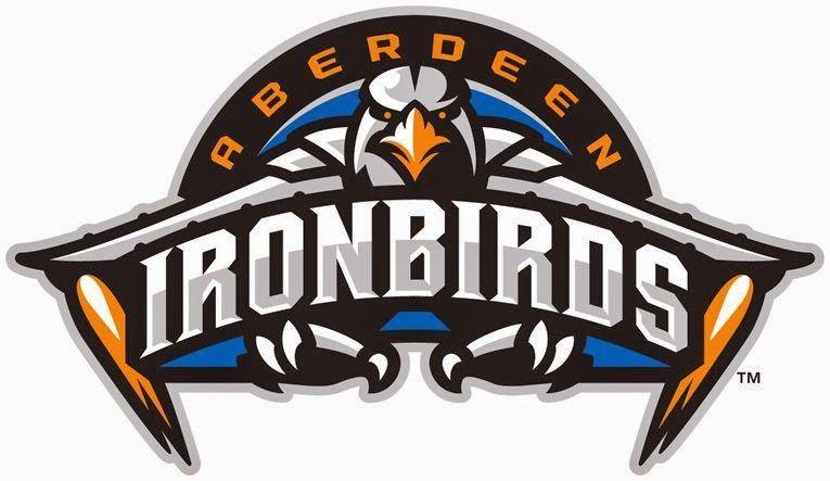 Bird Sports Logo - The Birdist: Grading Bird-themed Minor League Baseball Teams