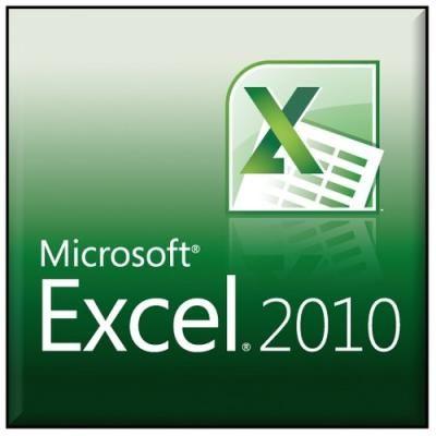 Microsoft Excel 2010 Logo - Microsoft Excel 2010 Course Beginners Training in Chandigarh