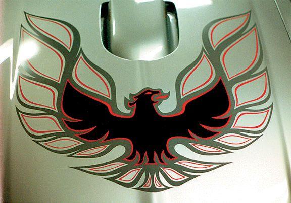 Trans AM Eagle Logo - 1973 78 Pontiac Trans Am Hood Bird Decal