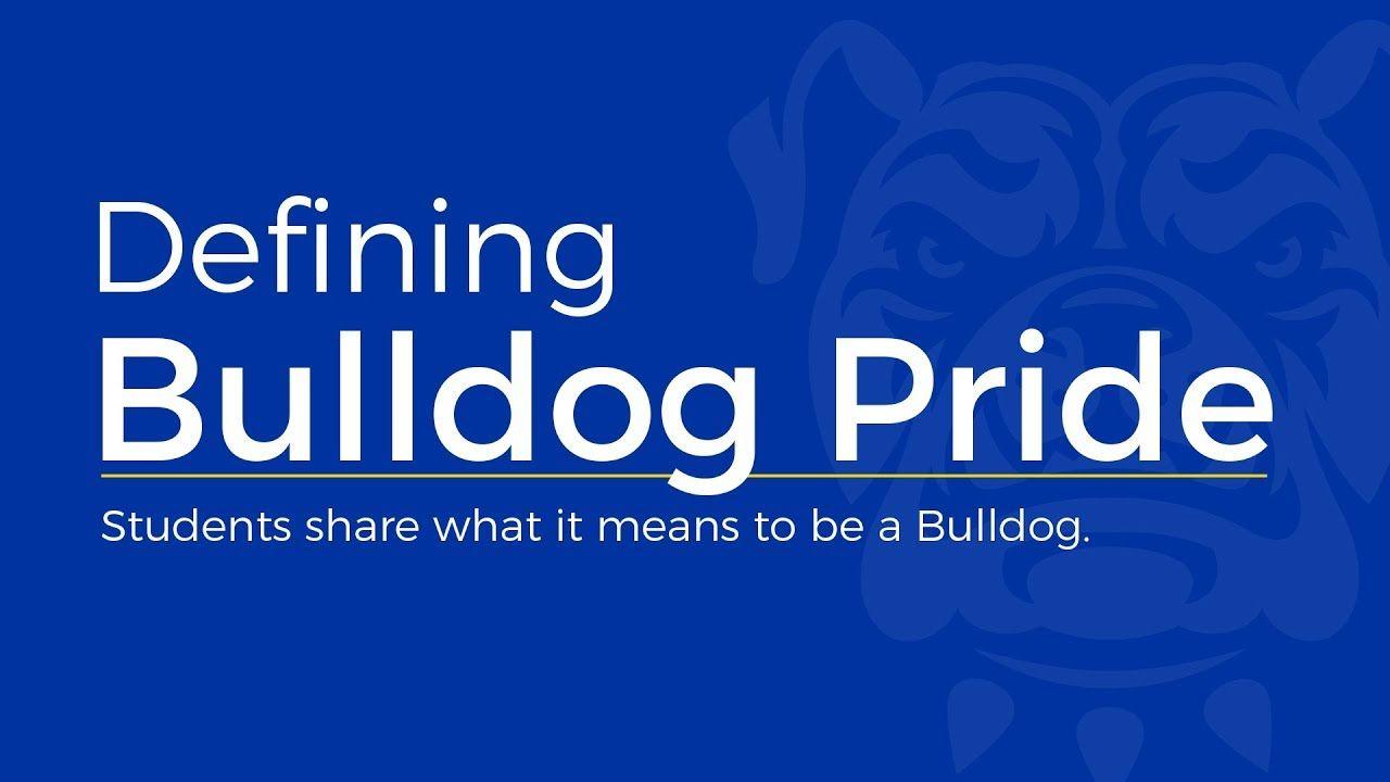 Blue Bulldog Pride Logo - Defining Bulldog Pride
