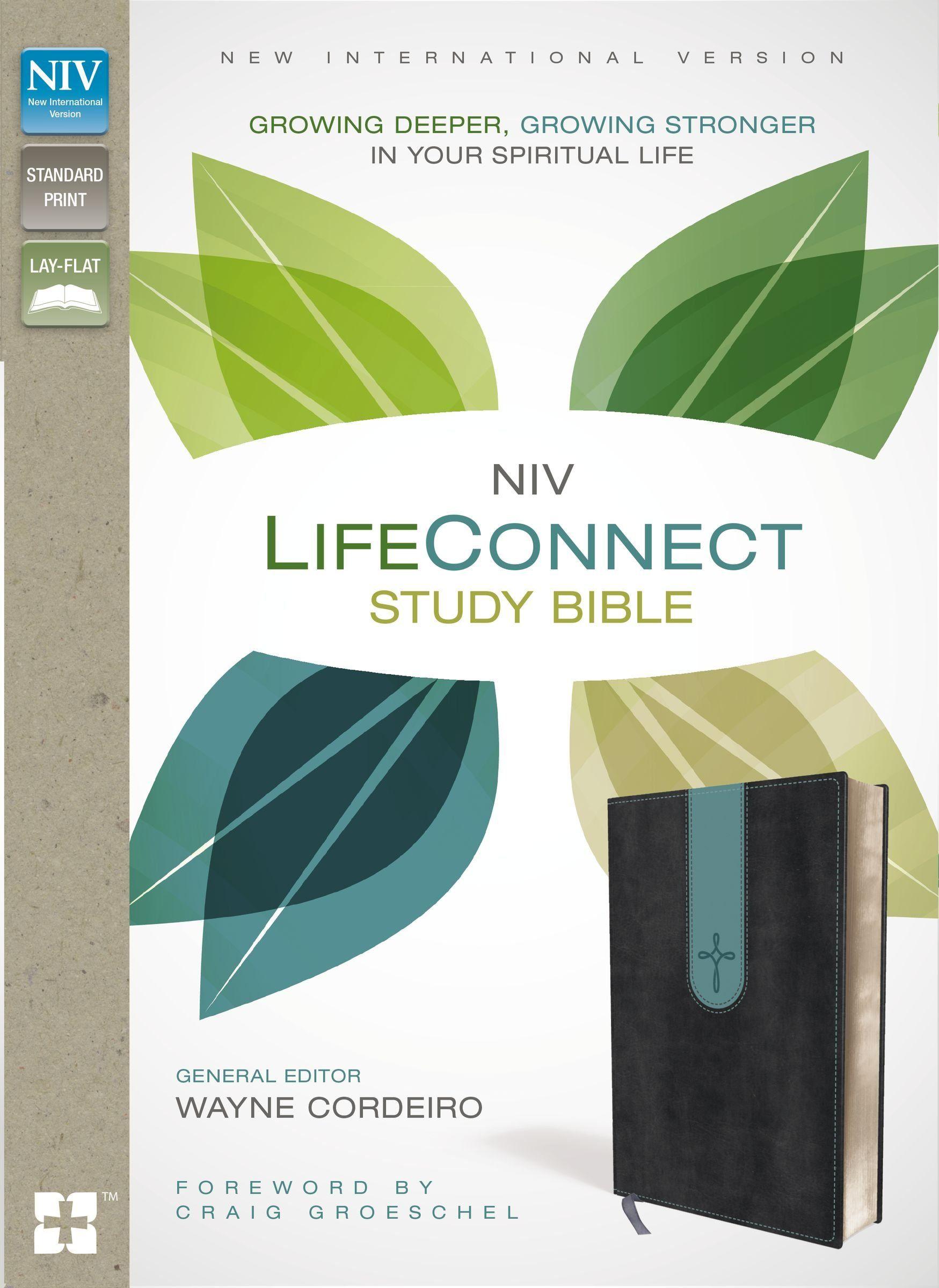 Blue and Red Letter Logo - NIV, LifeConnect Study Bible, Leathersoft, Gray/Blue, Indexed, Red ...
