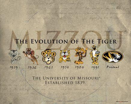 We Are Mizzou Logo - University of Missouri Evolution of the Tiger Historic Poster Print