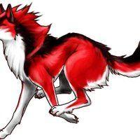Red White Wolf Logo - Red Black White Wolf Animated Gifs | Photobucket
