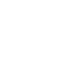 White Visa Logo - White visa icon white visa icons