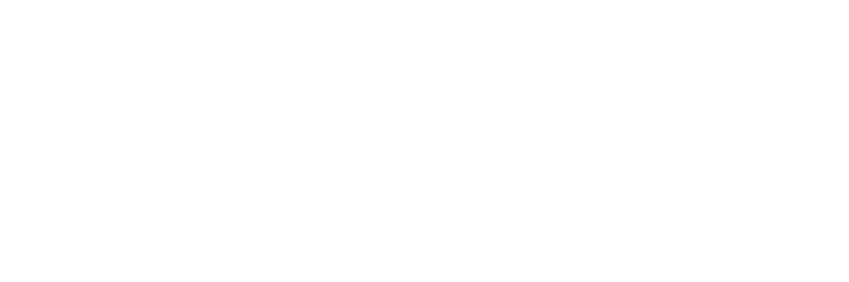 White Visa Logo - Visa checkout Logos