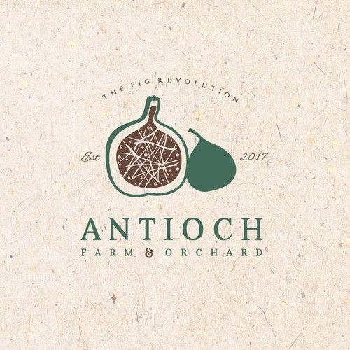 Fig Logo - Design Logo for a Fig Orchard | Logo design contest