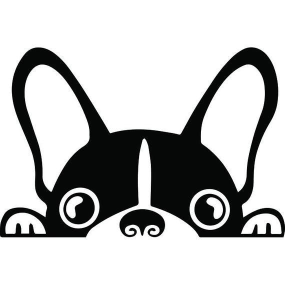 Puppy Paw Logo - French Bulldog 7 Peeking Paws Dog Breed K 9 Animal Pet Puppy