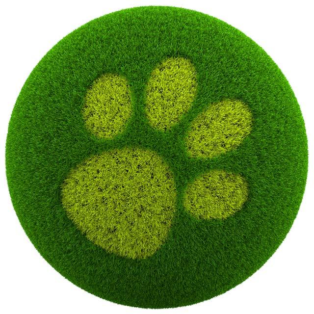 Puppy Paw Logo - Green Pet Care