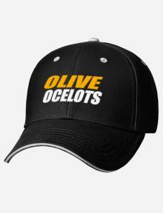 Ocelot Clothing Logo - Olive Elementary School Ocelots Apparel Store. Orange, California