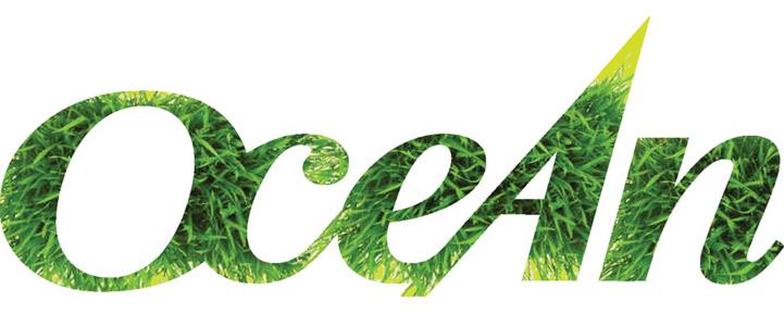 Green Banner Logo - Banner-Green-team-logo-SH - Ocean-Group.co.uk