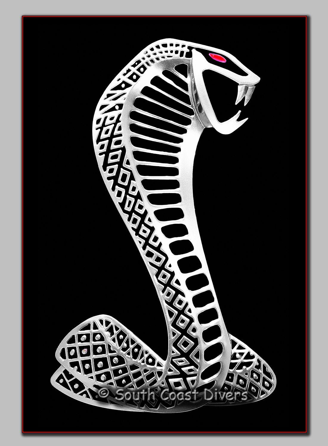 Shelby Cobra Logo - 2011 Shelby Cobra emblem. | Cars, Bikes & Emblems/Logos. | Pinterest ...