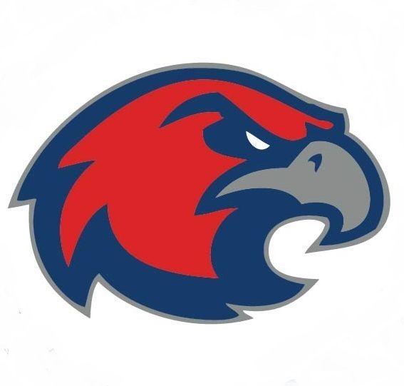 Red Hawk Mascot Logo - Hawk mascot Logos