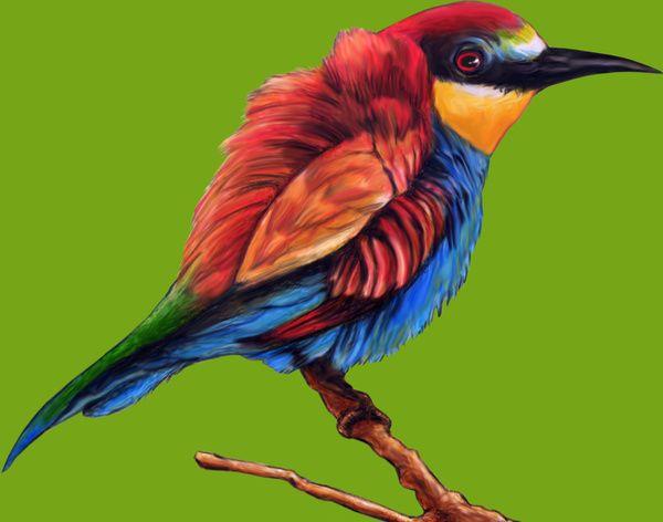 Red and Green with a Red Bird Logo - Illustration of a beautiful and colorful blue red bird with green