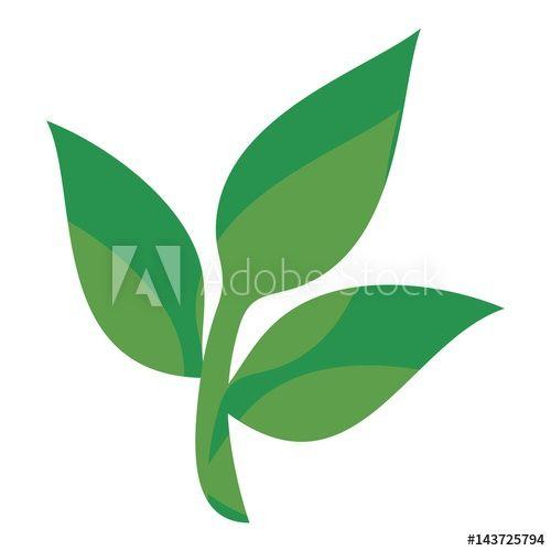 Green Three Leaf Logo - three leaf logo vector. this stock vector and explore similar
