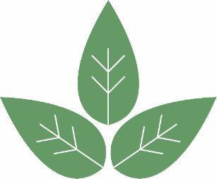 Green Three Leaf Logo - Green Tree Leaf Logo Gifts on Zazzle