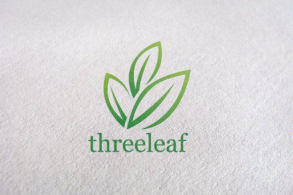 Green Three Leaf Logo - Organic, Eco, Green, Natural, Tree ~ Logo Templates ~ Creative Market
