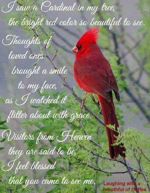 Red and Green with a Red Bird Logo - Red Cardinal 2 | Harper Renee | Quotes, Sayings, Cardinals
