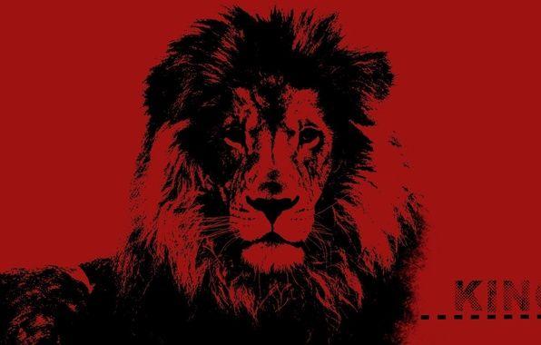 Black and Red Lion Logo - Wallpaper desktop, red, fantasy, black, art, lion, pop art, King ...
