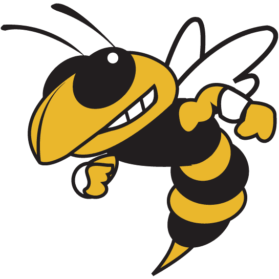 Crossed Bat Hornet Logo - Yellow Jacket Sauce | Recipe | Paleo | College football logos ...