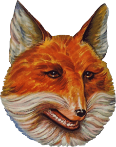 Brown Fox Head Logo - FOX HEAD™ BREWING