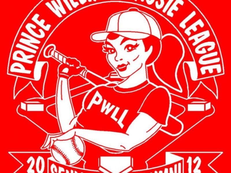 Slow Pitch Softball Logo - Girls Recreational Slowpitch Softball | Dale City, VA Patch