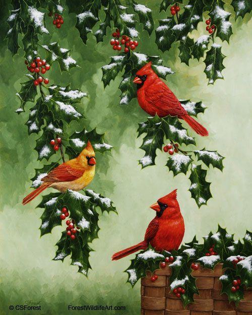 Red and Green with a Red Bird Logo - Red cardinal birds in a holly tree covered with Christmas snow ...