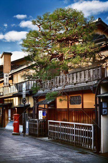 Pine Tree District Logo - Photo: Tea house with pine tree above store front in Gion district ...