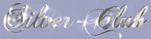 Silver Club Logo - Silver-Club International