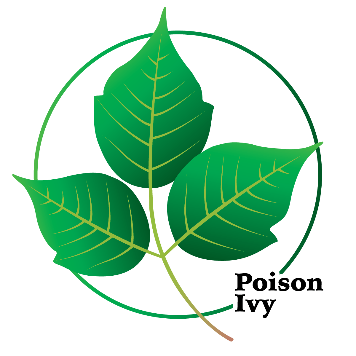 Poison Ivy Logo - Poison Ivy Info – Aitex