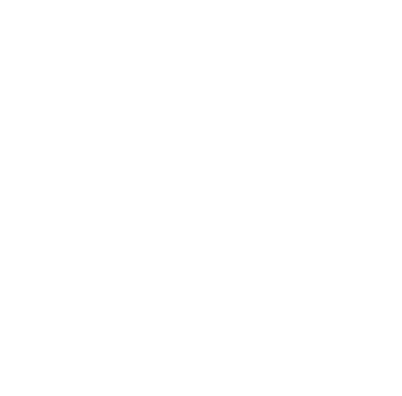 Brixton Logo - Brixton Port Authority