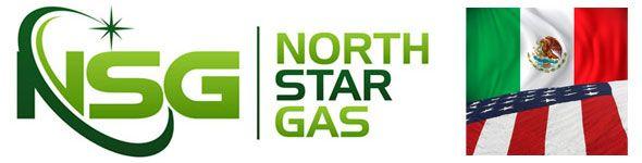 Star Gas Logo - Home Star Gas, Ltd