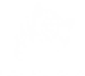 Brixton Logo - Home Page | Hot Yoga South London | Fierce Grace Brixton